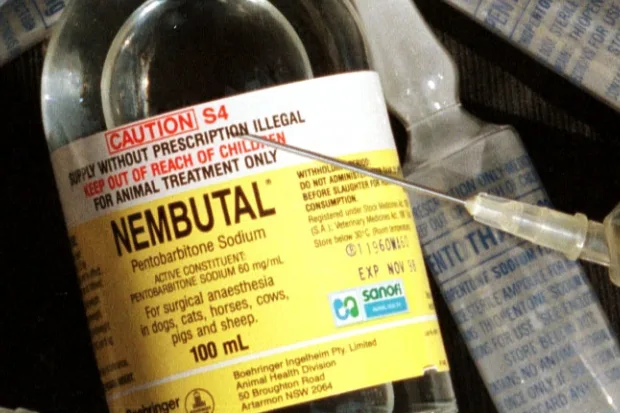 what is nembutal