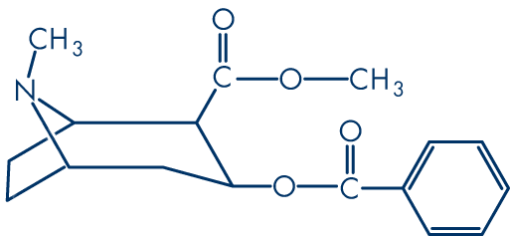 benzoylecgonine